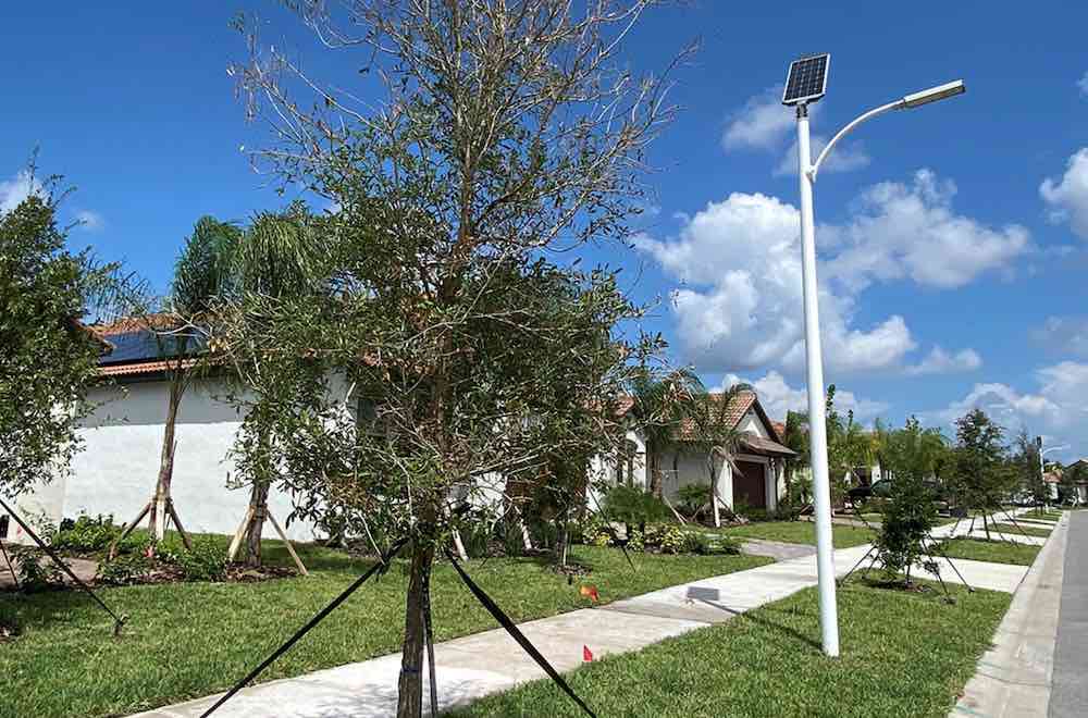 solar households streetlights Tampa
