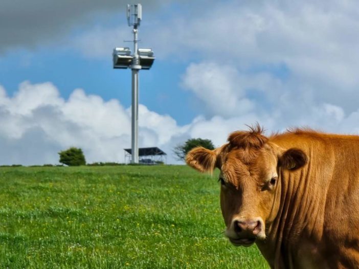 small wind turbine cow