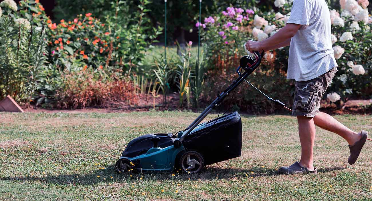 Electric lawn mowers and solar panels could be 