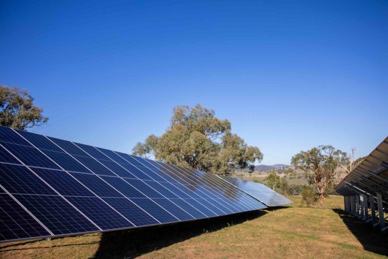 Lowe family wines nsw solar mudgee
